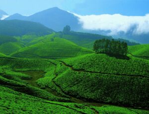 Munnar