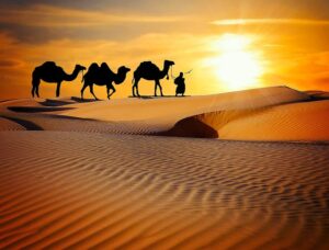 Caravan Desert Safari Dune Camels Ride More Rajasthan Camel